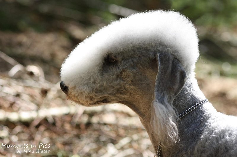 2010-05-29 Alanna und Svet (6).jpg - Arc-en-ciel Alanna 2010-05-29